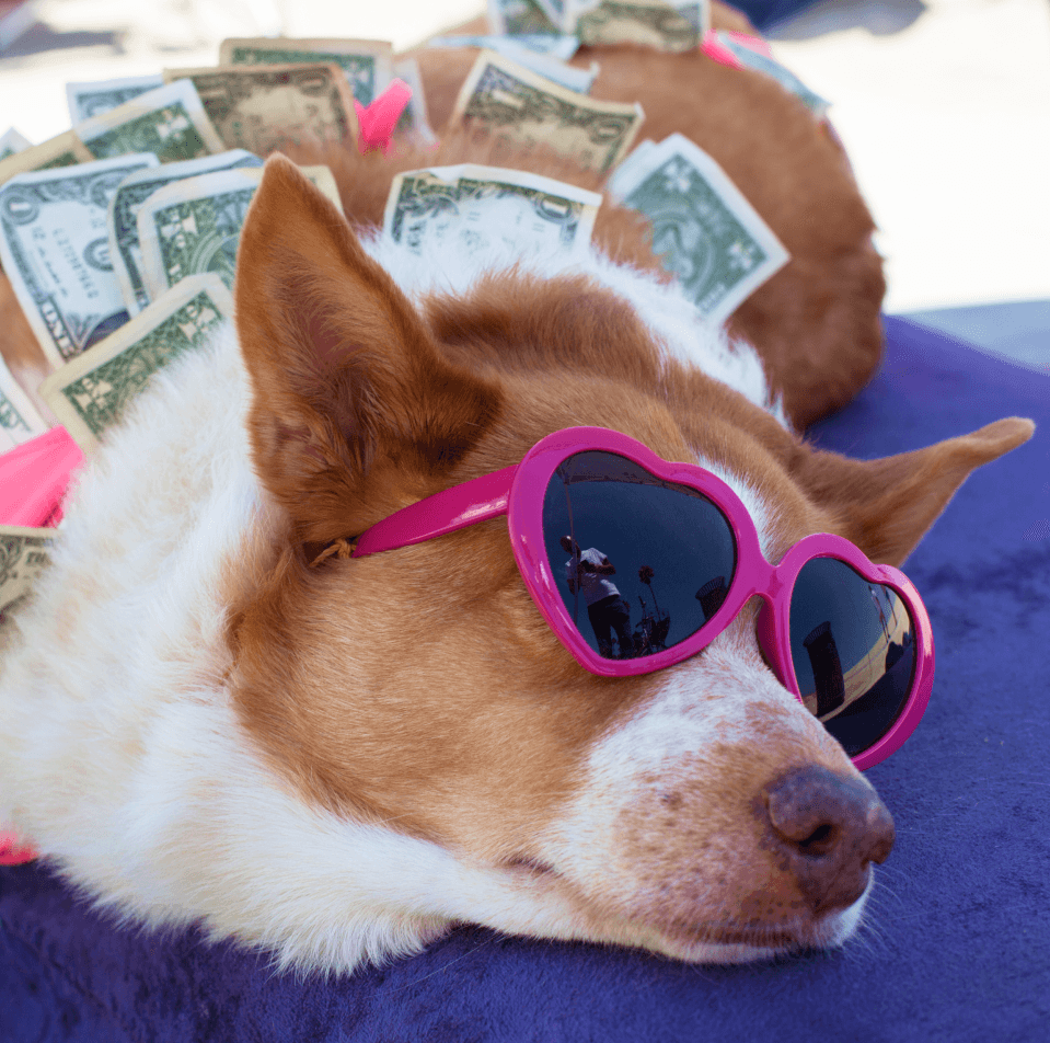 C'est quoi cette prime ?